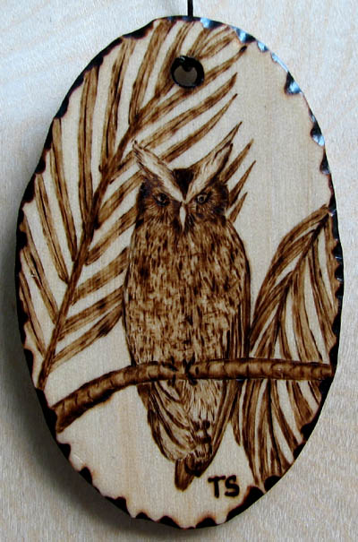 crested owl tanja sova pyrogaphy